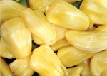 jackfruit2