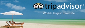 tripadvisor2